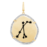 Pisces Constellation Charm